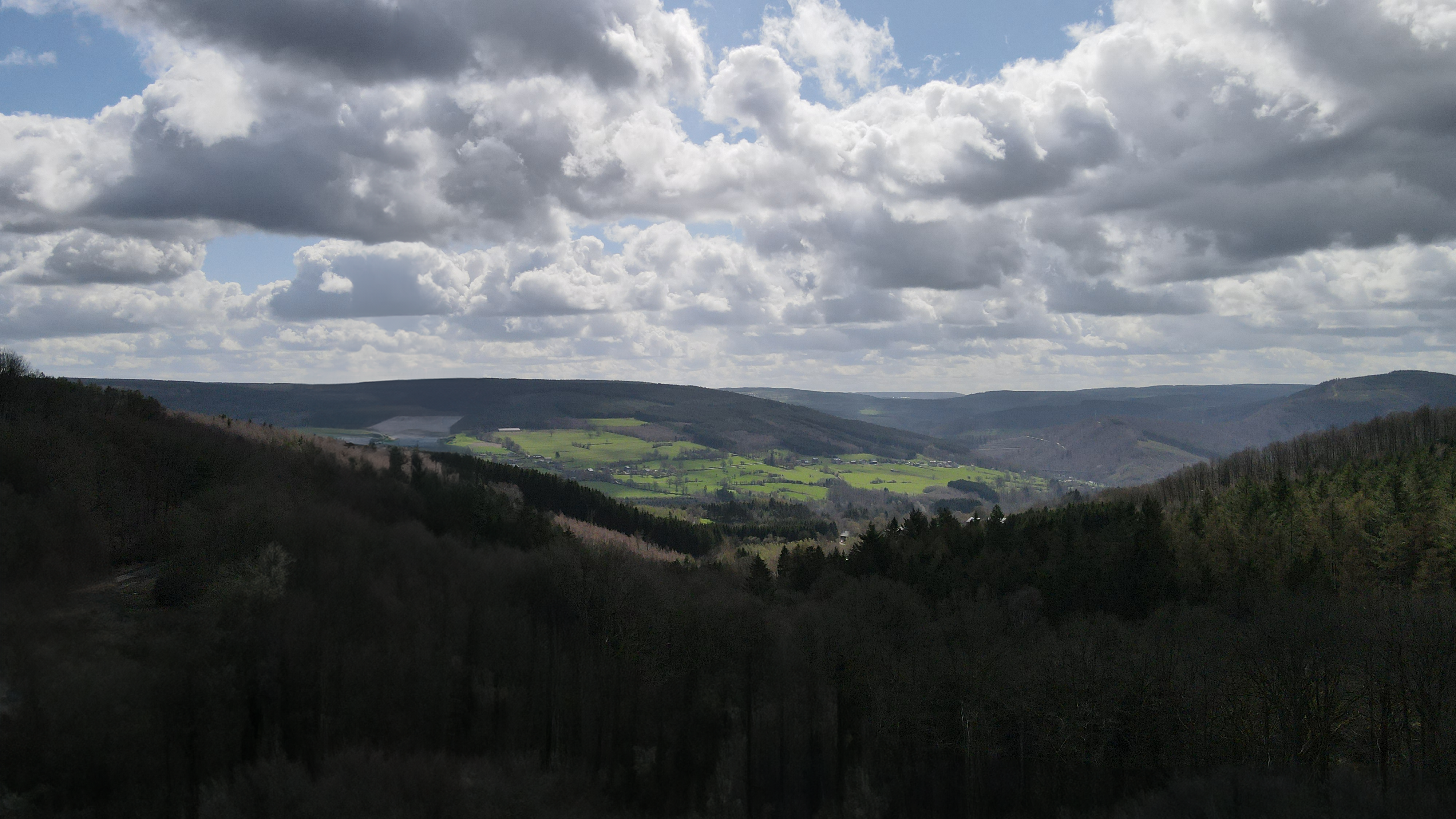 Wald